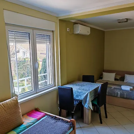 Popovic Apartment Belgrade